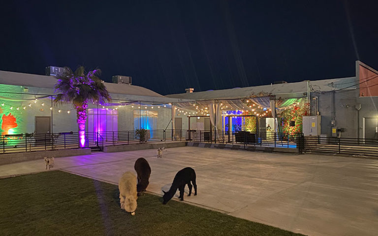 The_Doyle_Exterior_02_800x500